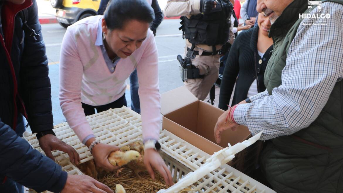 Jeovana Mariela Alcántar Baca, entregó 100 paquetes de pollos doble propósito, beneficiando a familias del municipio.
