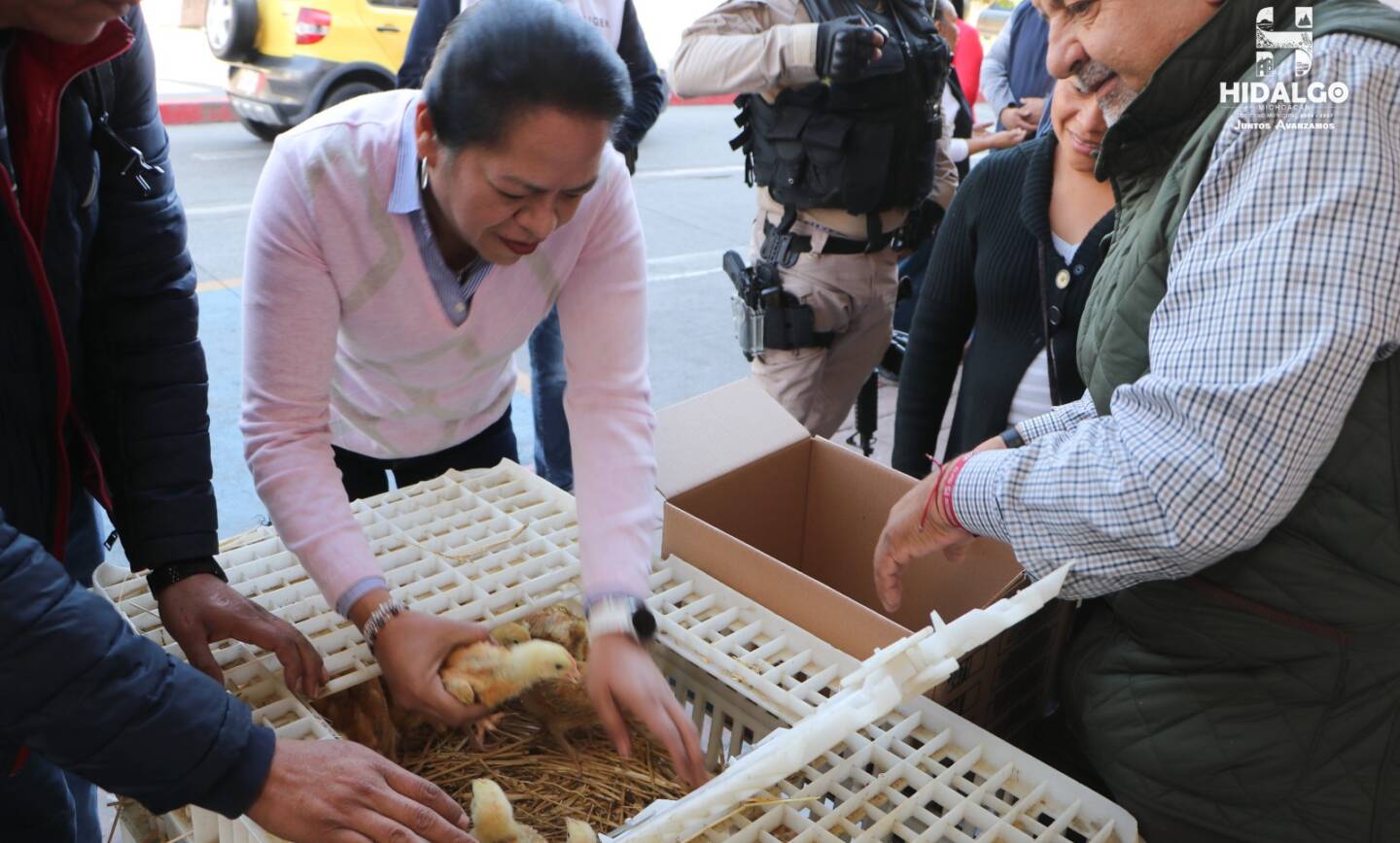 Jeovana Mariela Alcántar Baca, entregó 100 paquetes de pollos doble propósito, beneficiando a familias del municipio.